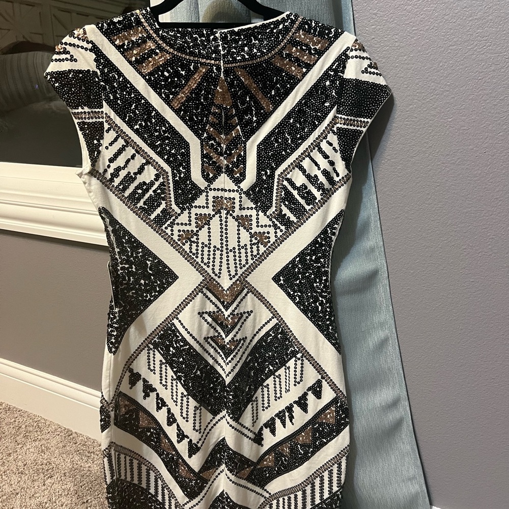 Express Dress - Picture 4 of 4